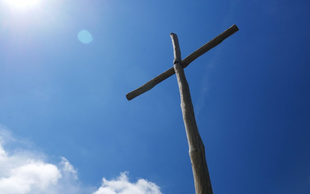 8. Sonntag im Jahreskreis C 27.02.2022●Einführung ● Evangelium ● Predigt