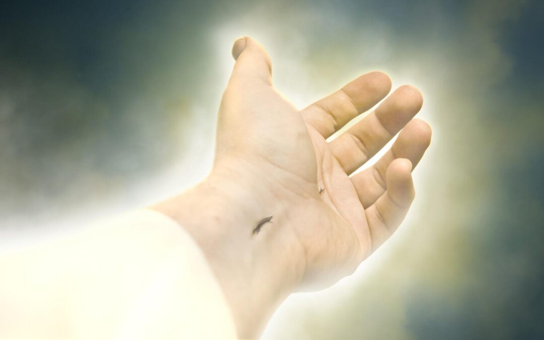 3 Ostersonntag C 4.05.2025●Einführung ● Evangelium ● Predigt